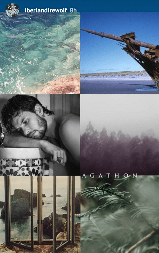Agathon Hydranos fantasy book character aesthetic mood board melancholy gloomy person woods sea