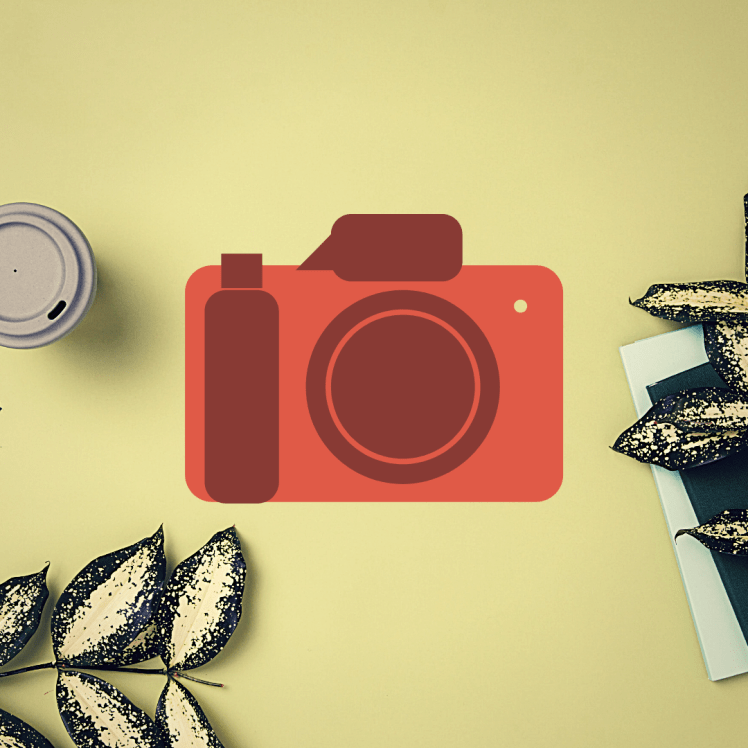 camera with plants and coffee cup